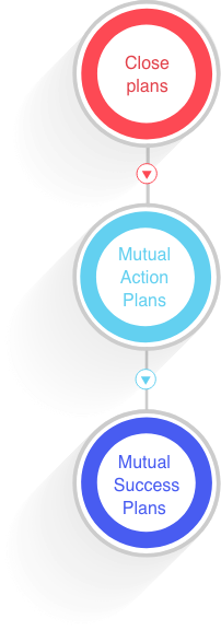 mutual action plan flow image